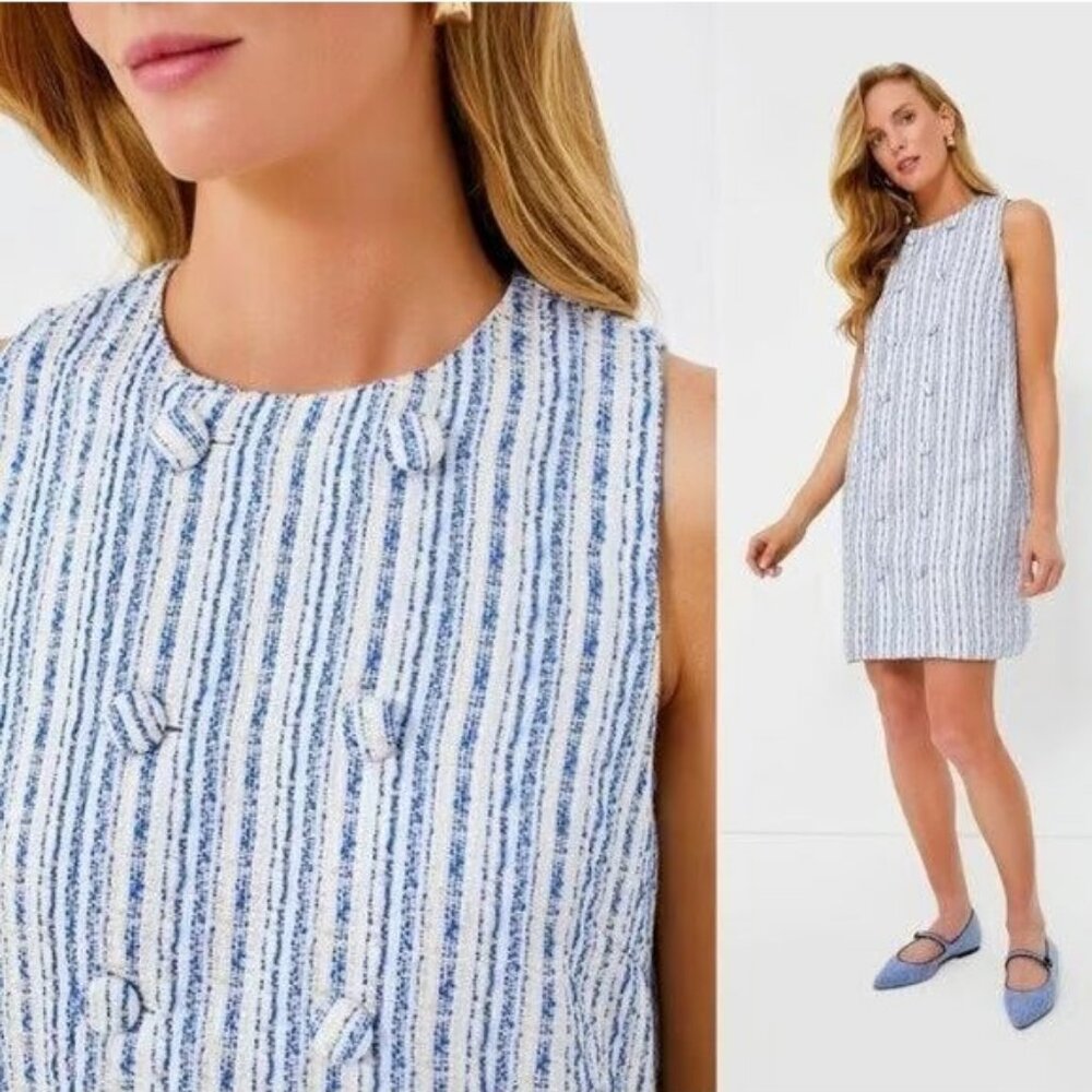 Pomander Place Blue and White Striped Tweed Mini Dress